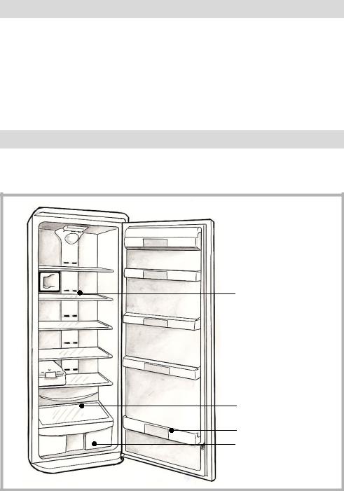 BRANDT SL2820 User Manual