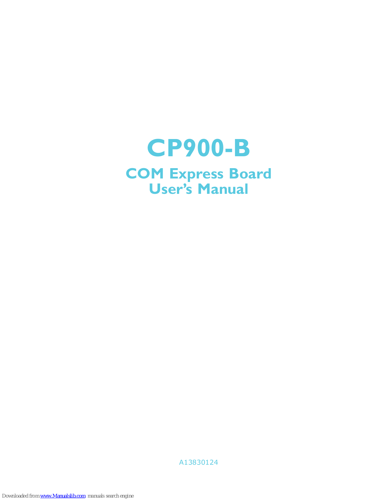 DFI CP900-B User Manual