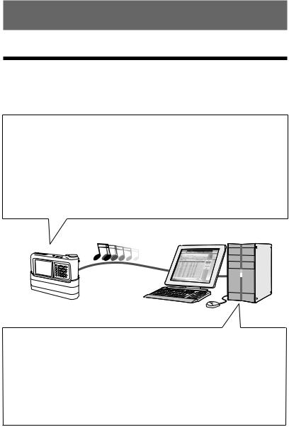 Sony VGF-AP1 User Manual