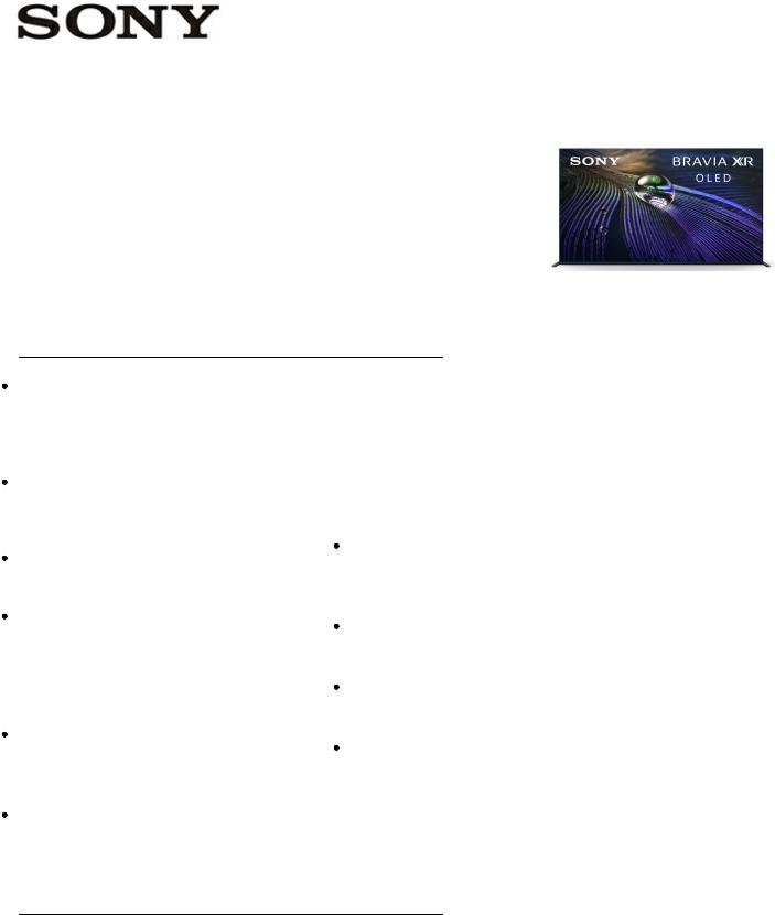 Sony XR65A90J Specification Sheet