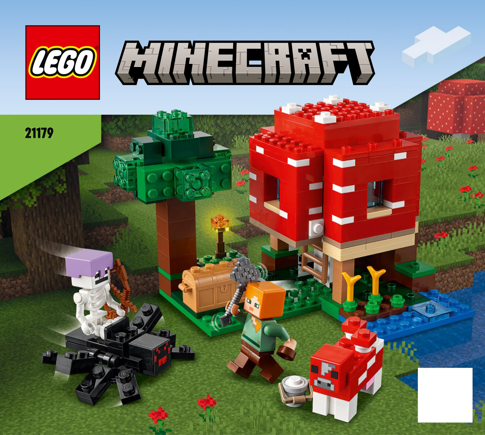 LEGO 21179 User guide