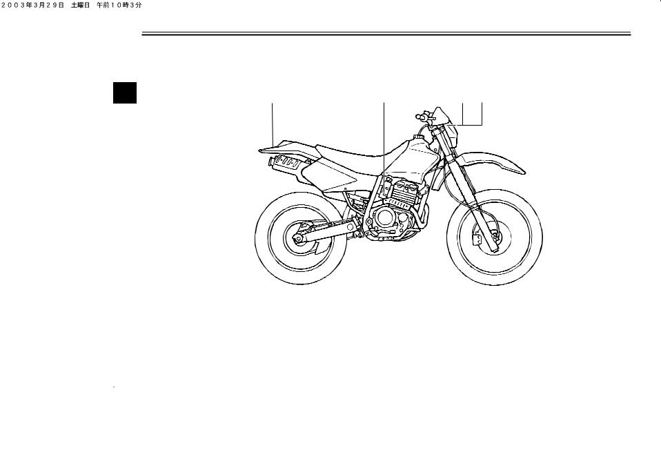 Yamaha TTR250 User Manual