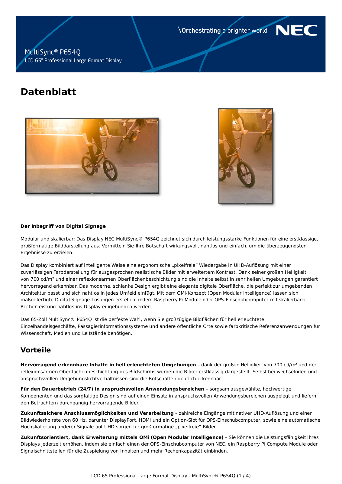 NEC P654Q Datenblatt