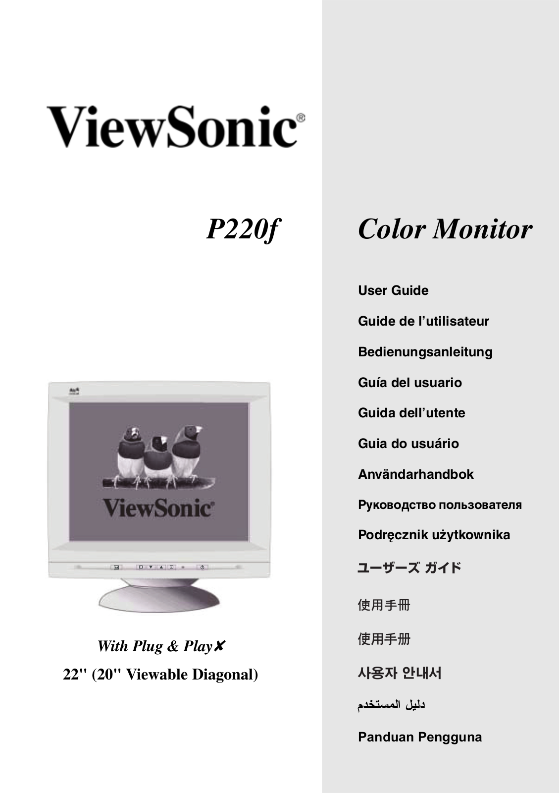 ViewSonic P220f User Manual