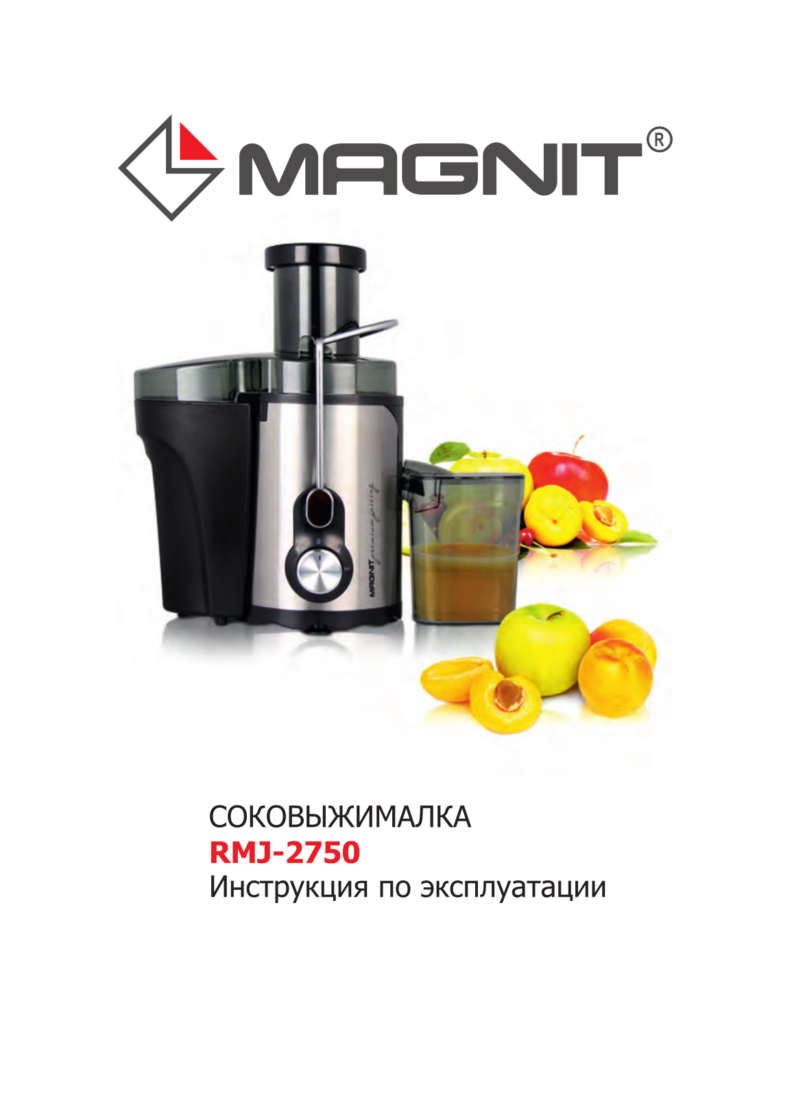 Magnit RMJ-2750 User Manual