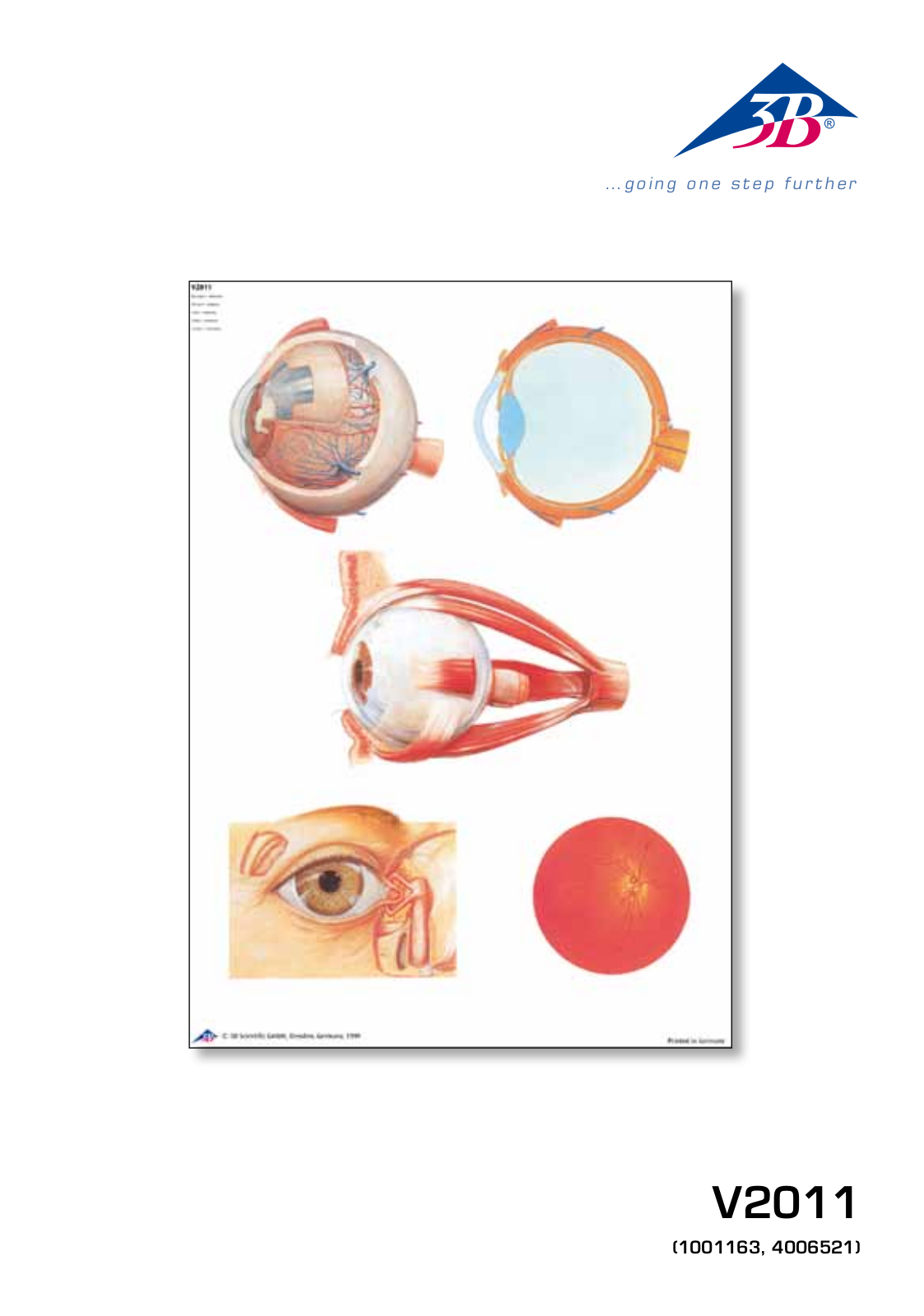 3B Scientific The Eye I Chart, Anatomy User Manual