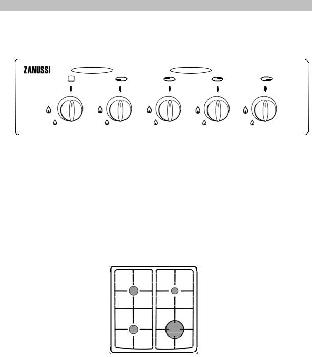 Zanussi ZCG5000S User Manual