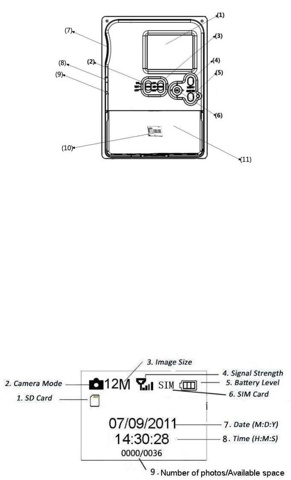 BRAUN PHOTO TECHNIK BLACK400phone Instruction Manual