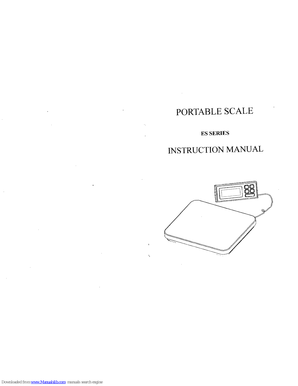 Mettler Toledo ES300 Instruction Manual