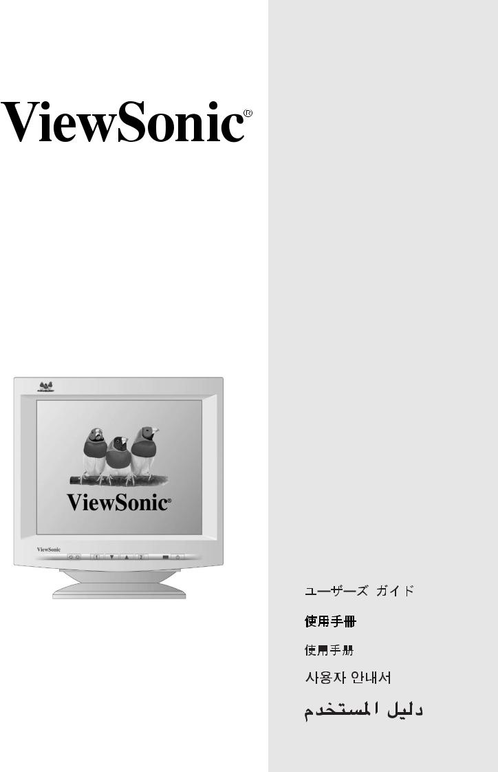 ViewSonic P95f+ User Manual