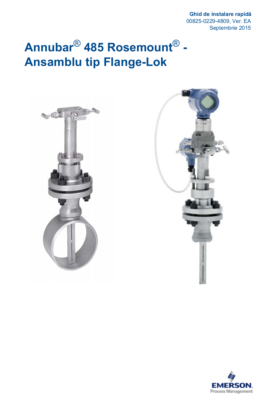 Rosemount -Ansamblu cu Flange-Lok Manuals & Guides
