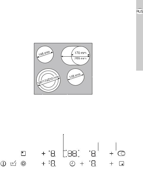 Electrolux EHS60300 User Manual