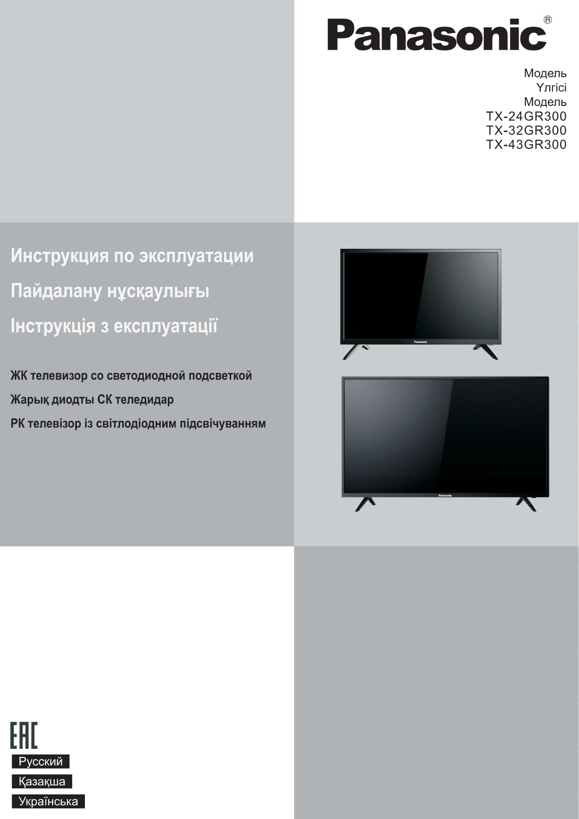 Panasonic TX-24GR300 User Manual