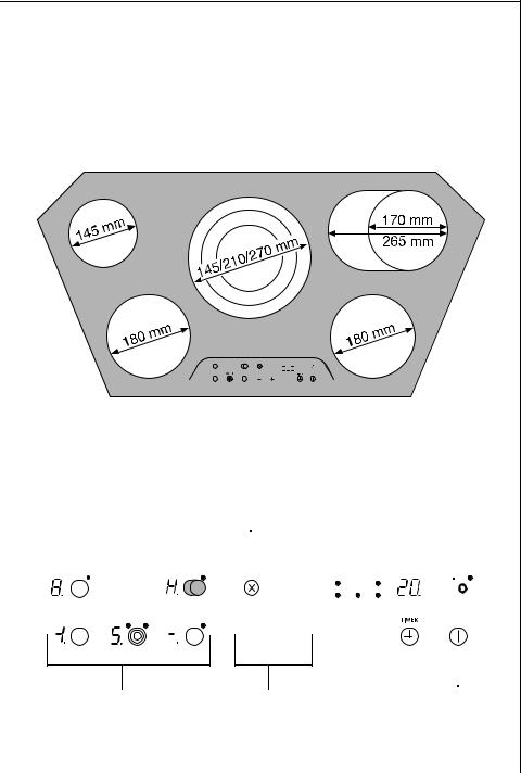 AEG C91900KFE Manual