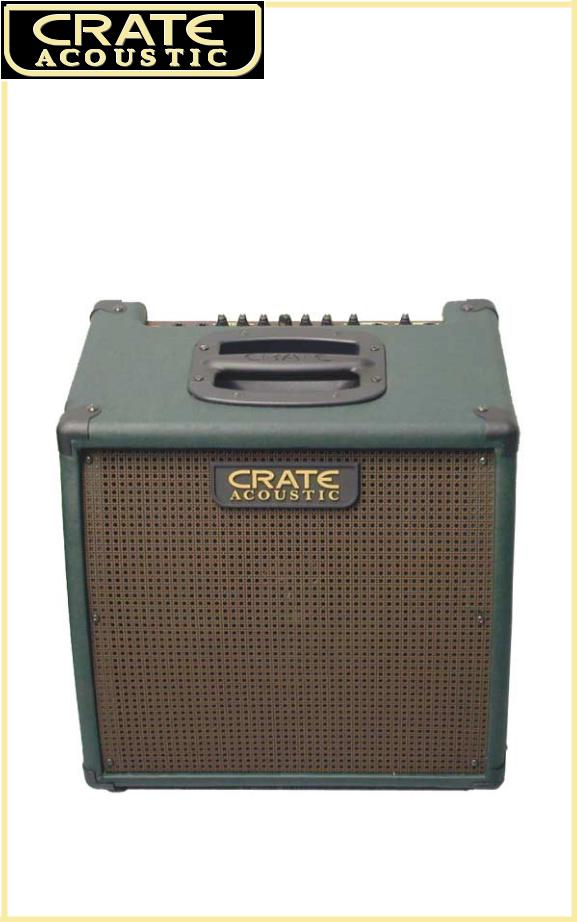 Crate Amplifiers CA30 DG User Manual