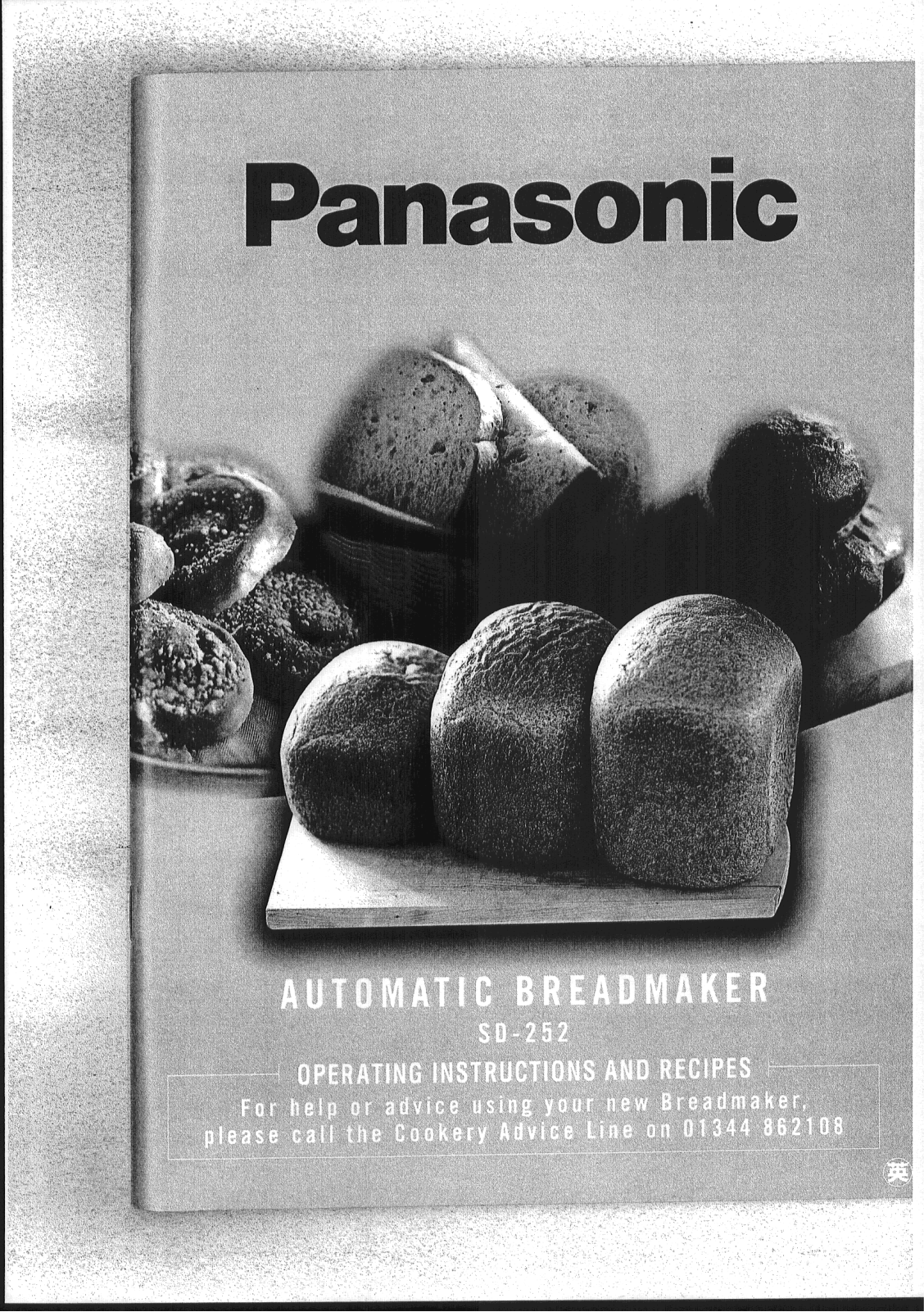 Panasonic SD-252 User Manual
