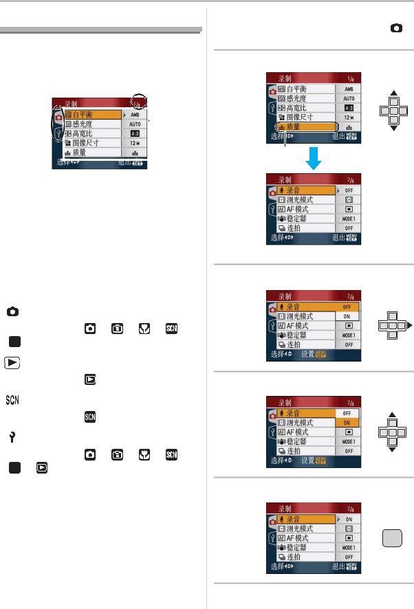 Panasonic DMC-FX100GK User Manual