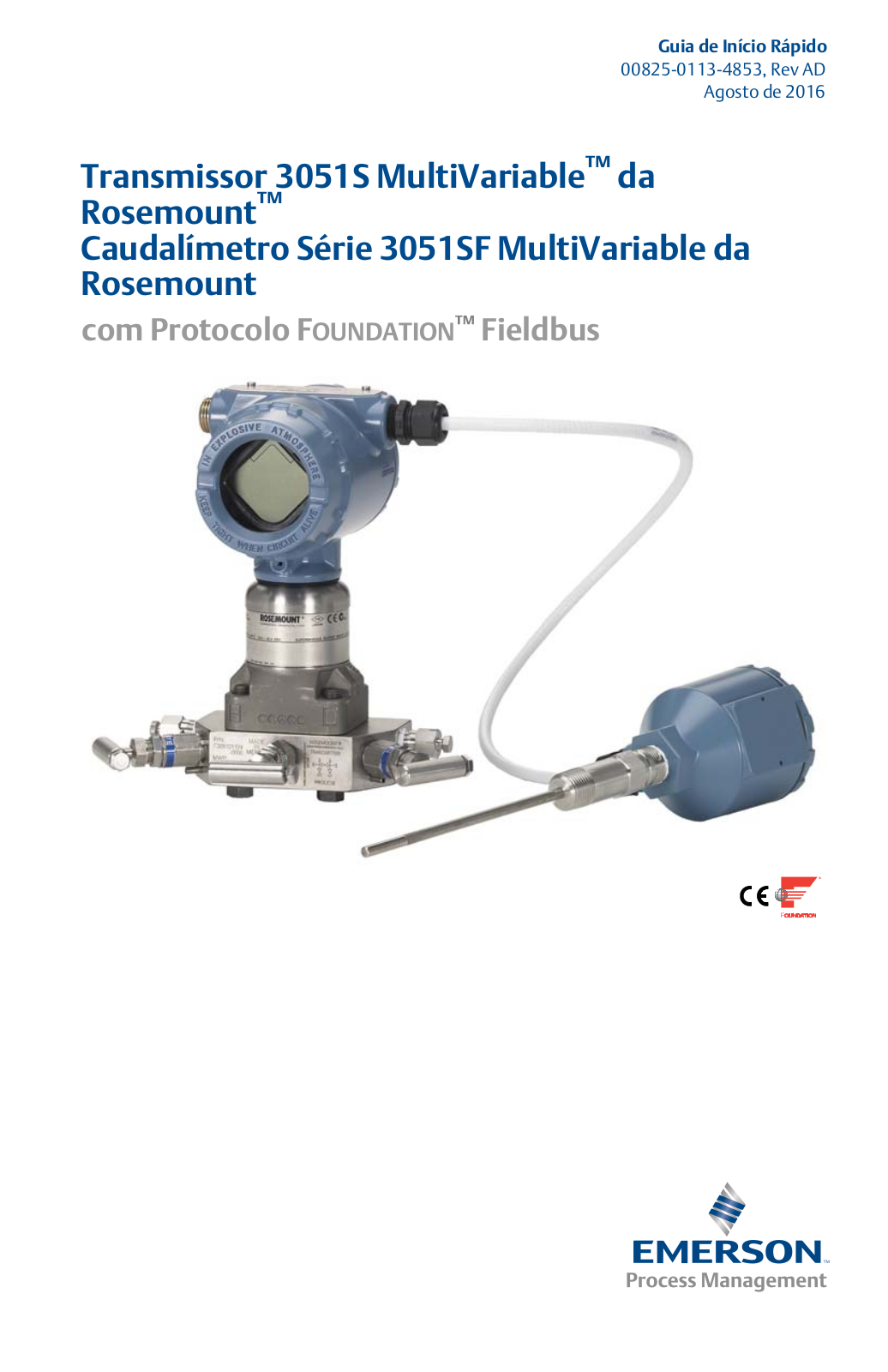 Rosemount com Protocolo FOUNDATION Fieldbus Quick Start Guide