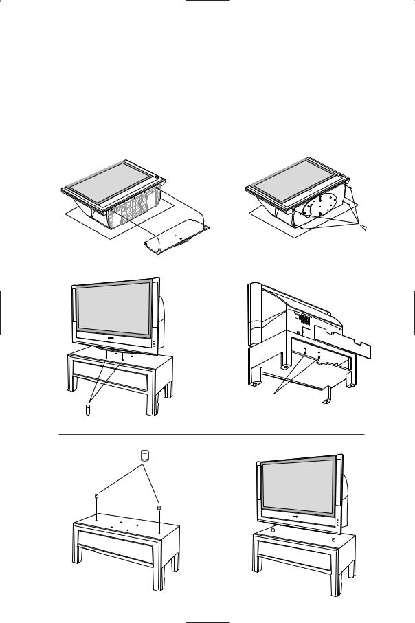 PHILIPS 55PL9874 User Manual