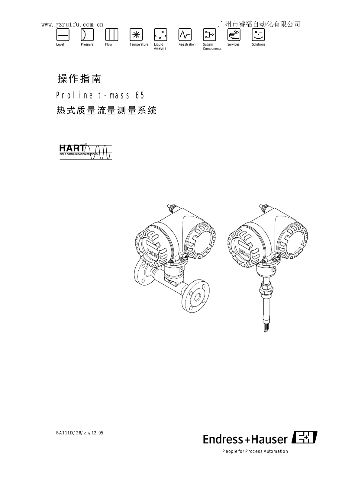 Endress + Hauser t-mass 65 User Manual