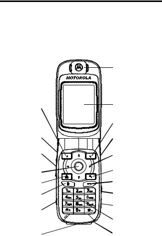 Motorola T56EV1 Users manual