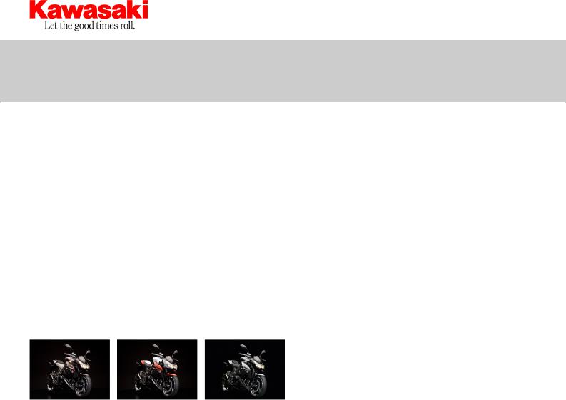 Kawasaki Z1000 Manual