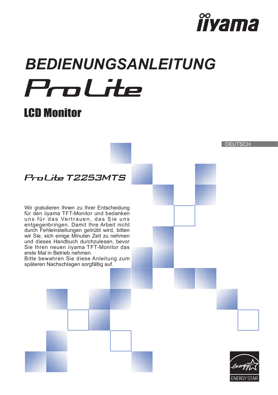 iiyama ProLite T2253MTS-B1 User Manual