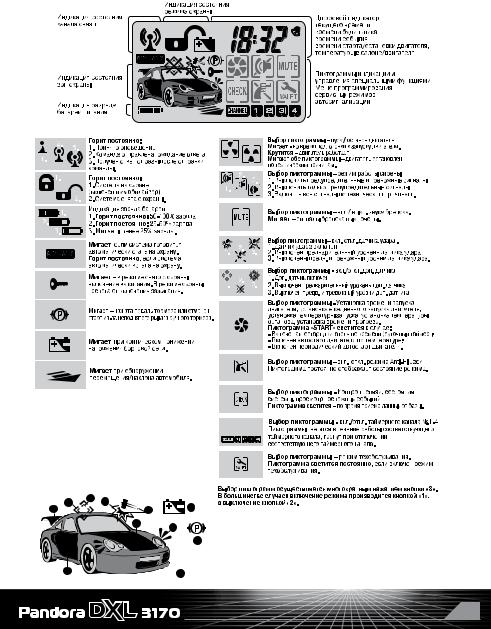 Pandora DXL 3170 User Manual