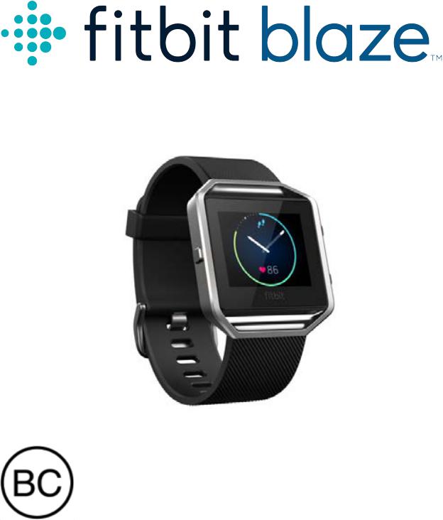 Fitbit FB502 User Manual