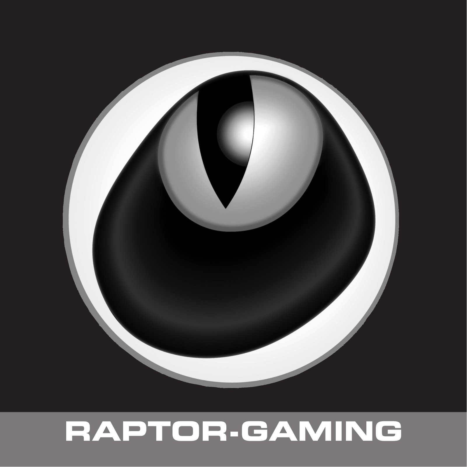 Raptor Gaming LM1 User guide