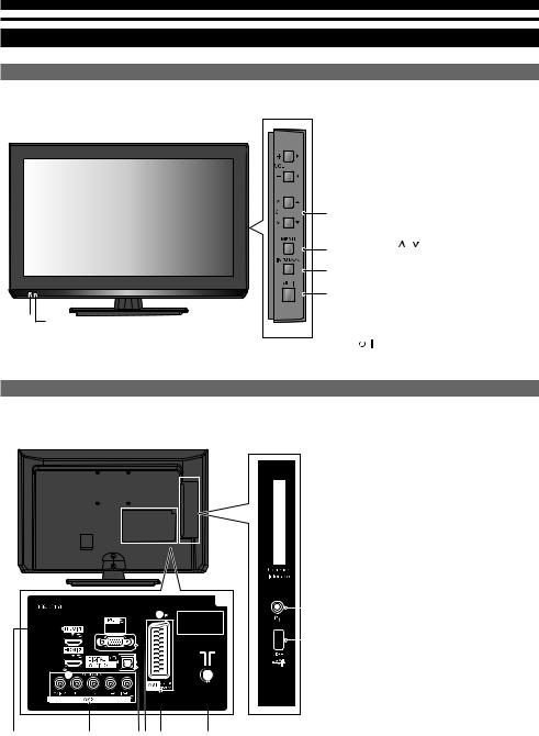 Panasonic TX-L24C5E User Manual