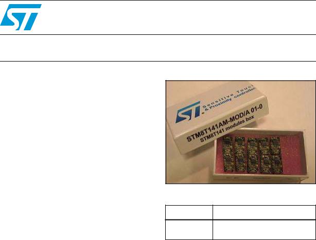 ST STM8T-MOD User Manual
