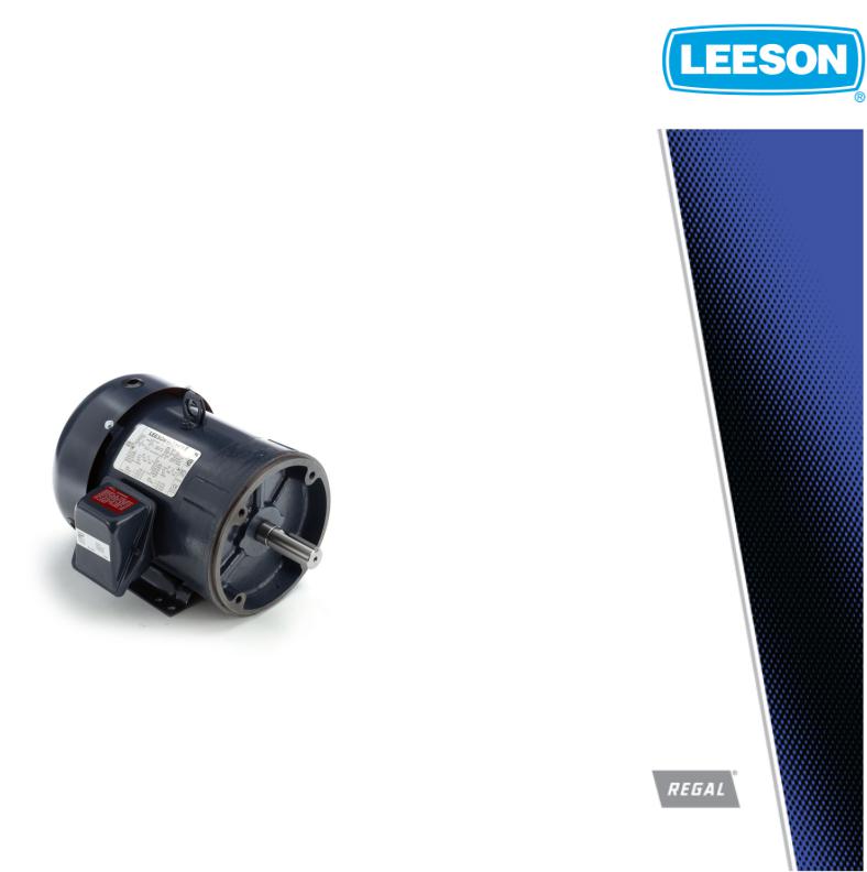 Leeson 199051.00 Product Information Packet