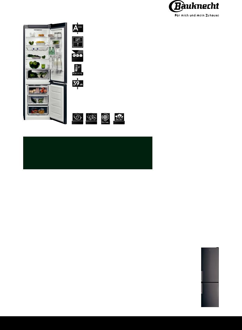 Bauknecht KGS 2020G IN User Manual