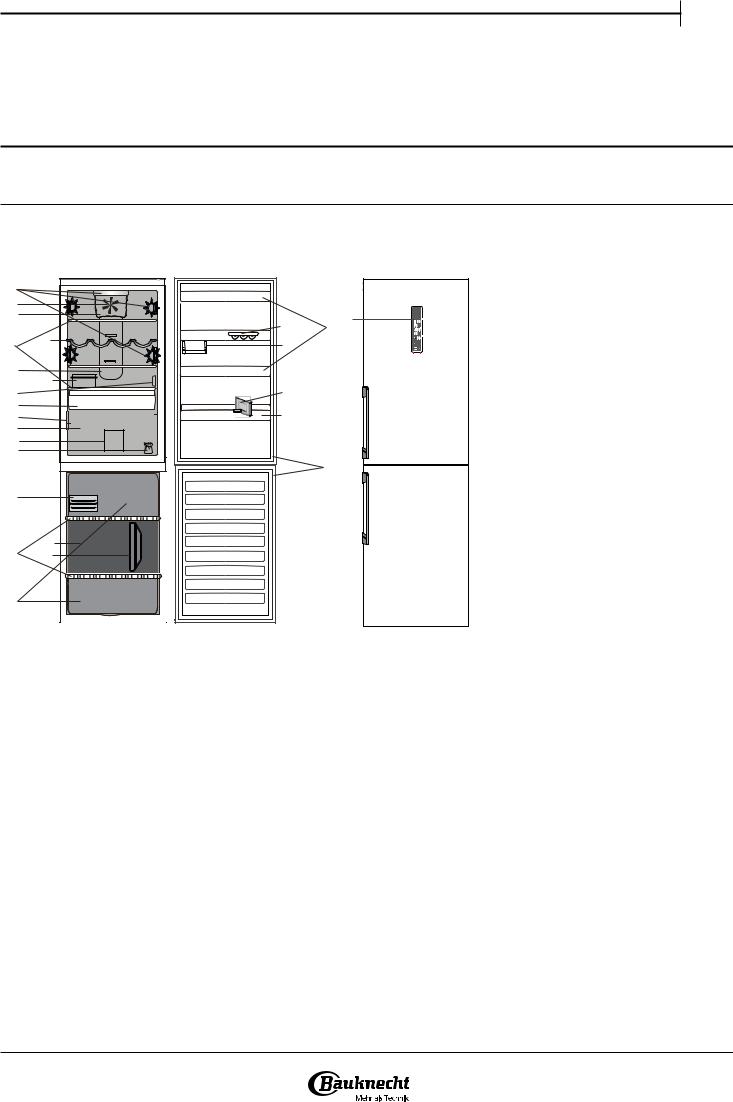 Bauknecht KGNF 20P A3+ IN operation manual