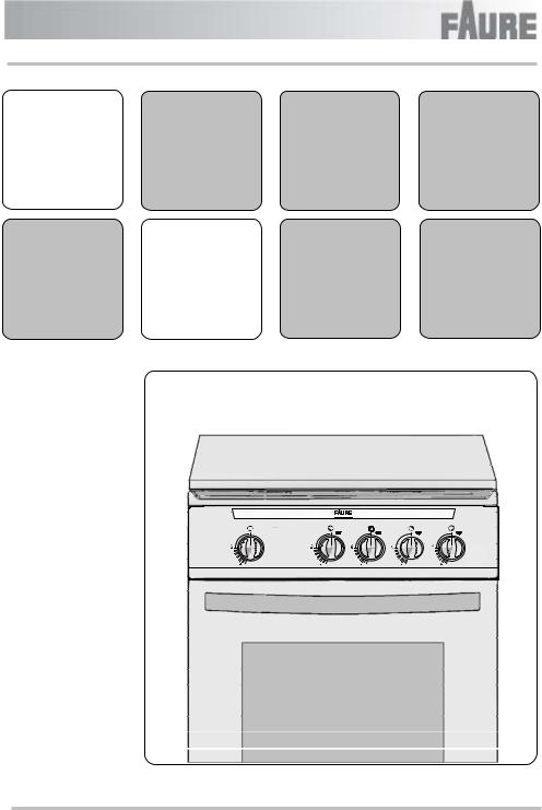 FAURE CGL409 User Manual