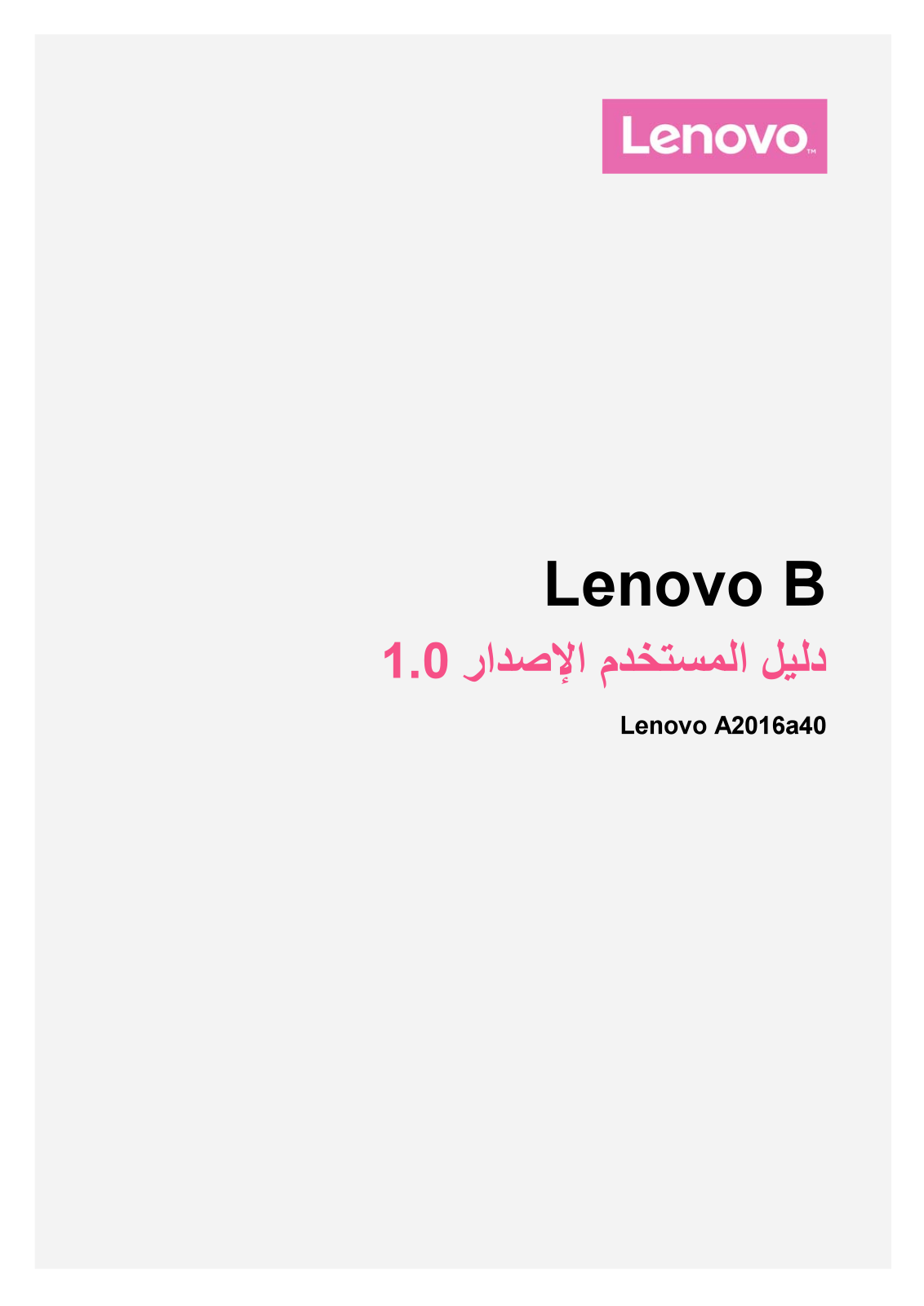 Lenovo B User Guide