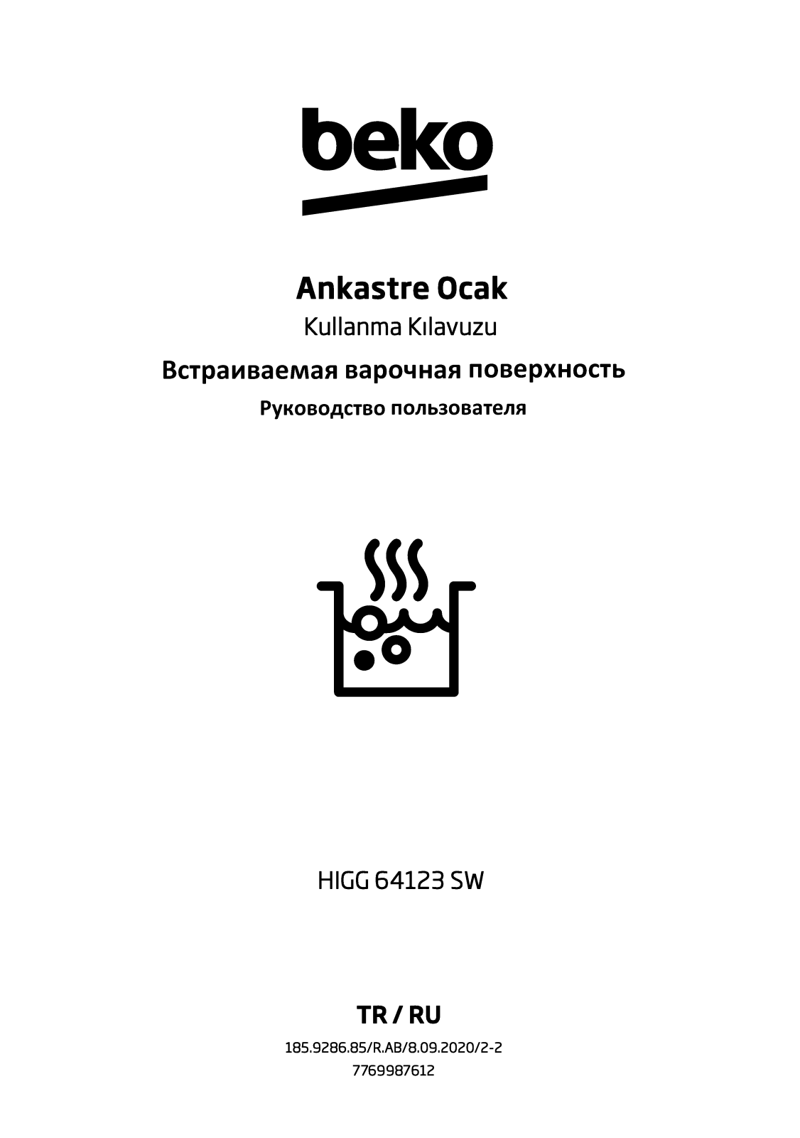 Beko HIGG 64123 SW User manual