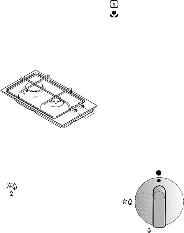 ZANUSSI ZDG323X User Manual