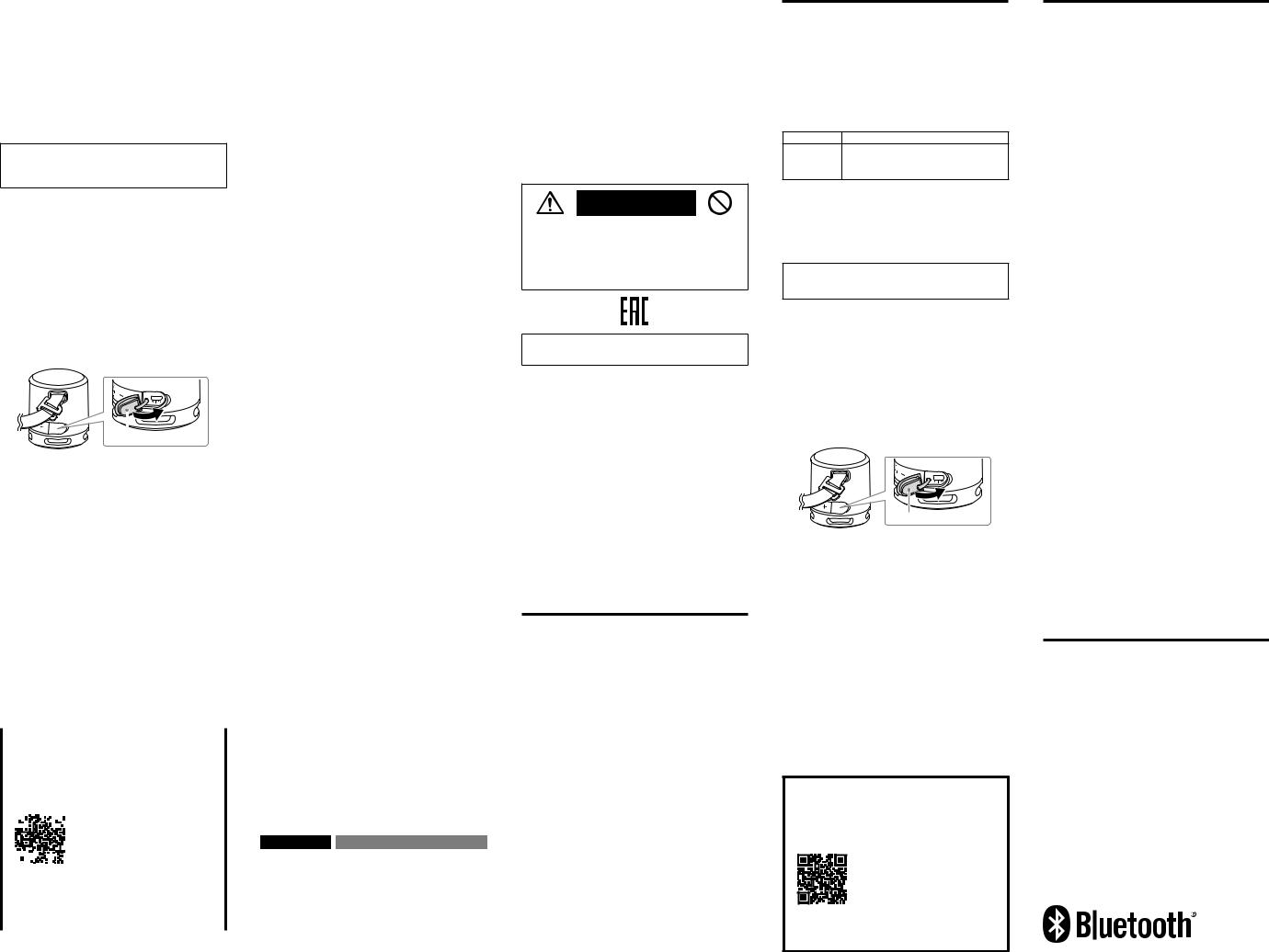 Sony SRS-XB13 User Manual