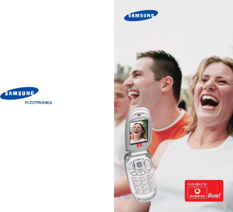 Samsung SGH-E310S, SGH-E310 User Manual