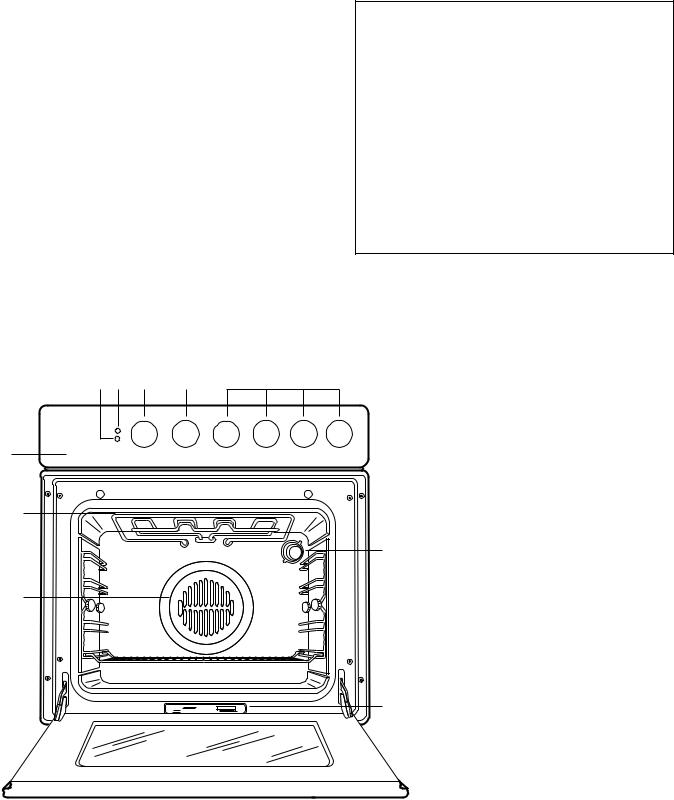 Zanussi HM216X User Manual