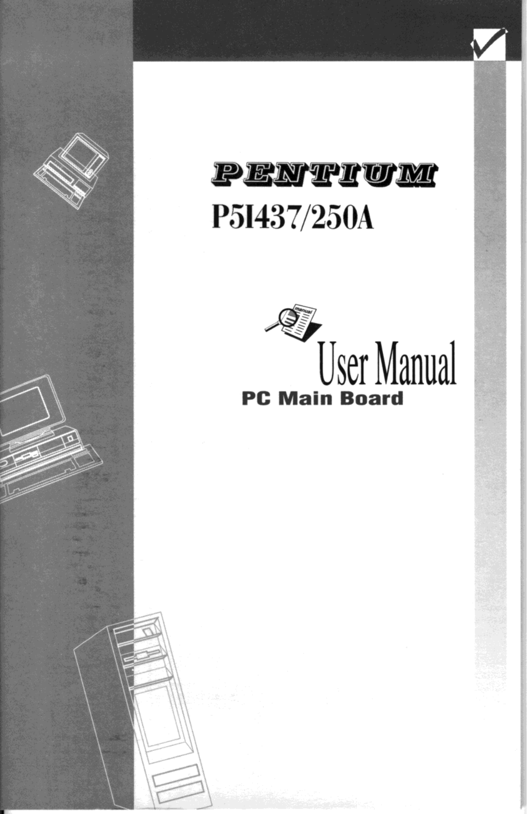 QDI P51437/250a User Manual