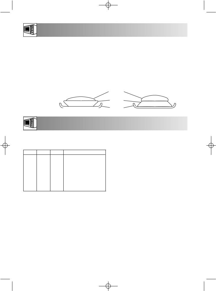 Zanussi ZM266STX User Manual