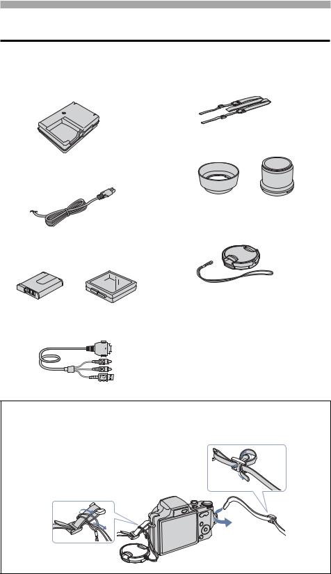 Sony CYBER-SHOT DSC-H10 User Manual