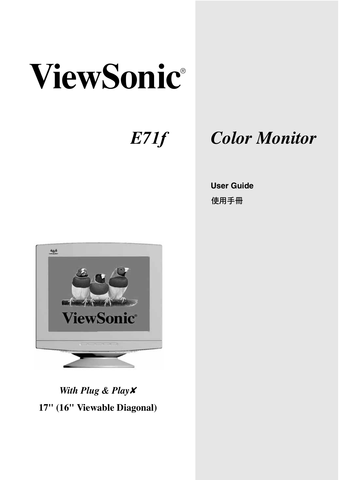 ViewSonic VS10083 User Manual