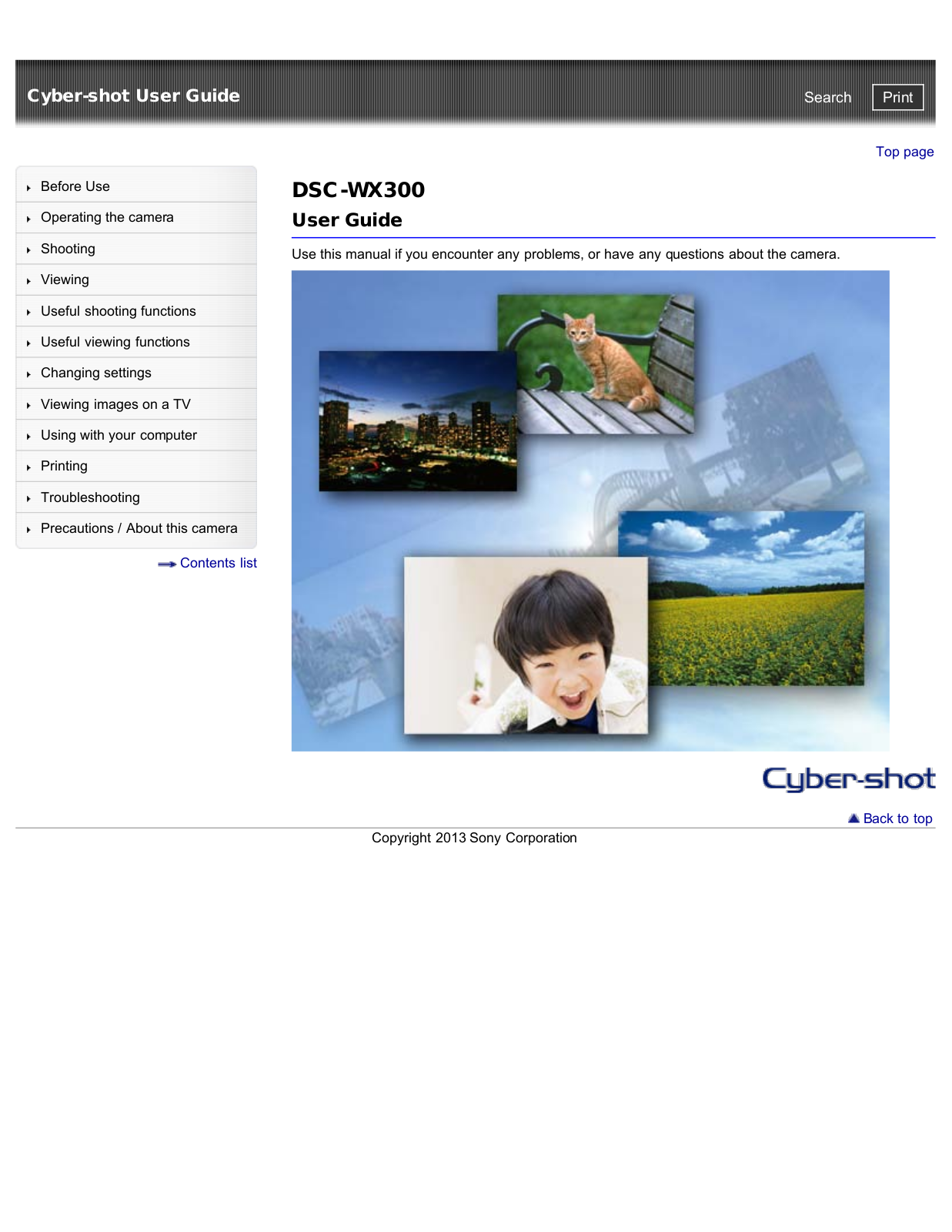 Sony DSC-WX300 User Manual