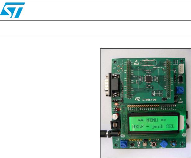 ST STM8L101 User Manual