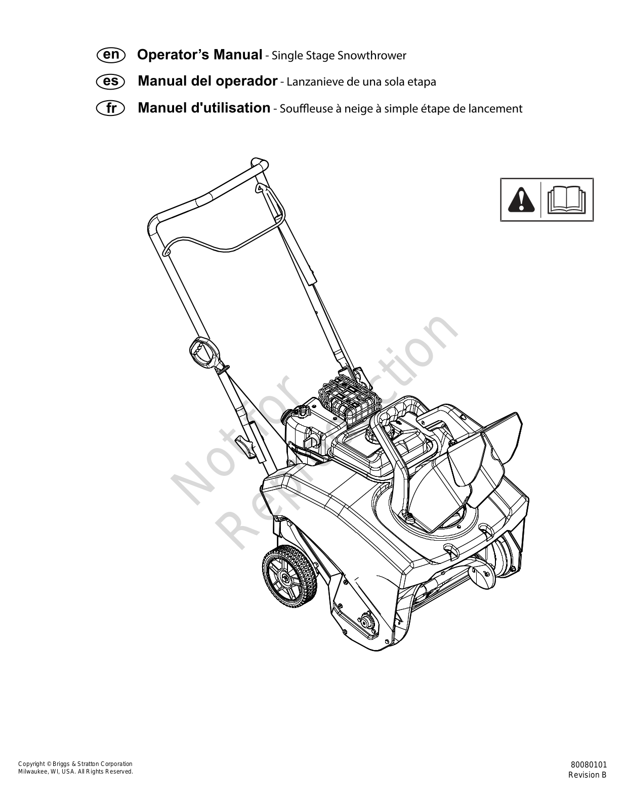 Briggs and Stratton 1697099 User Manual