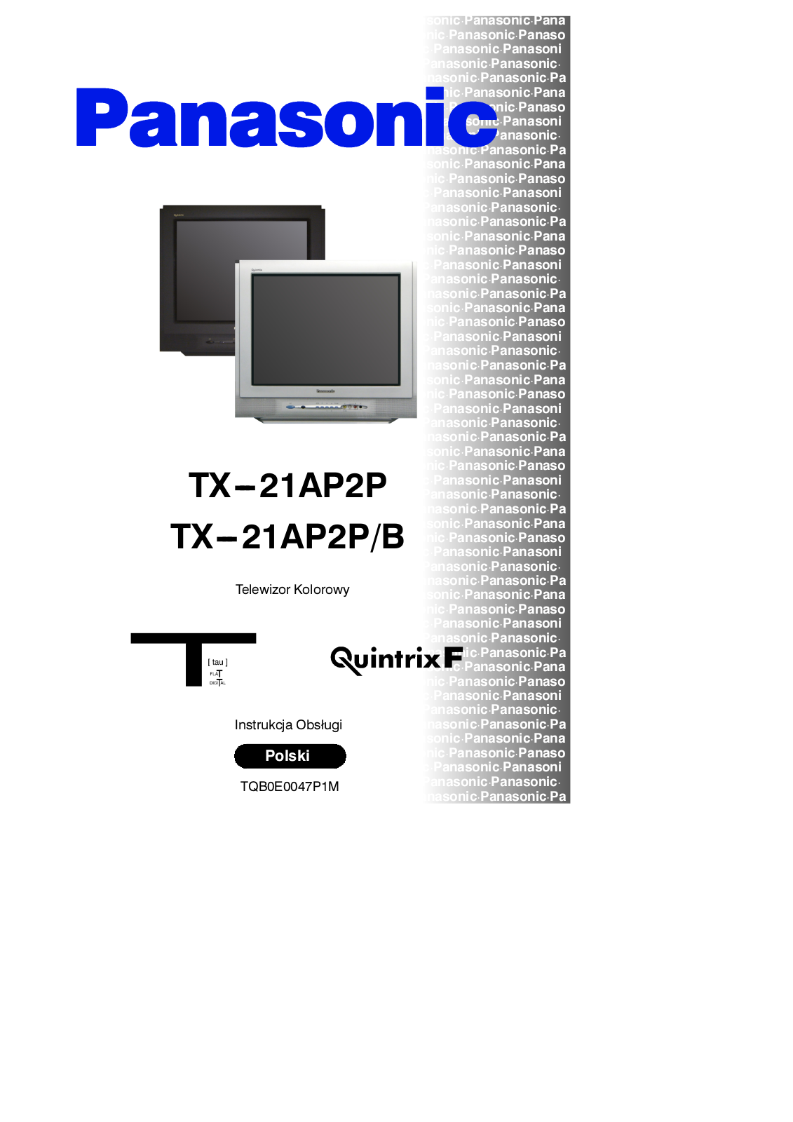 PANASONIC TX-21AP2P, TX-21AP2PB User Manual